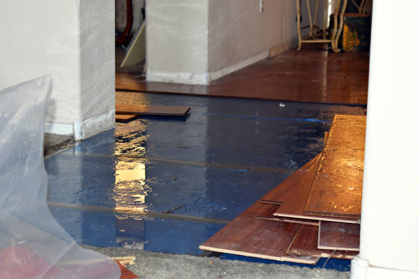 Professional Emergency Water Damage Restoration technician working in Woodville, FL